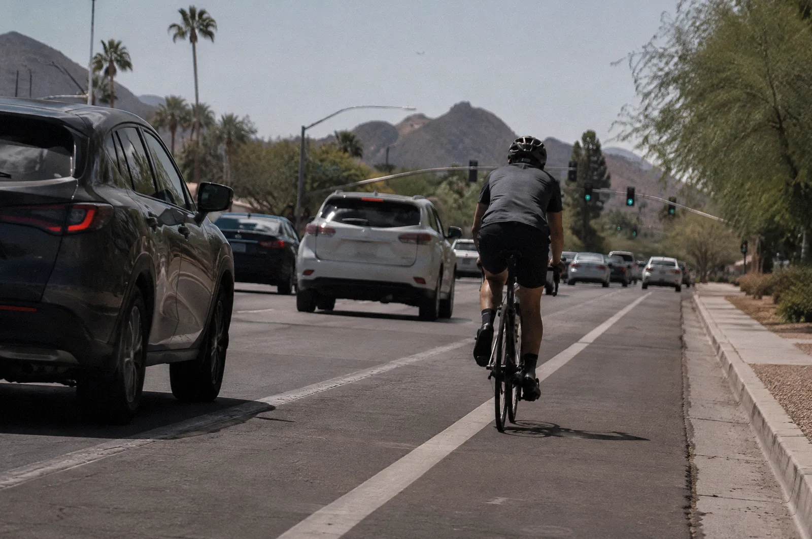 A cyclist from behind in a painted bike lane on a busy Scottsdale road, cars passing close