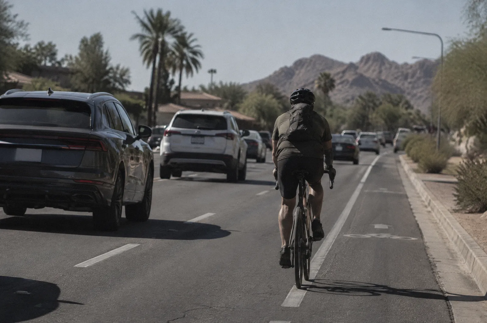 A cyclist from behind in a painted bike lane on a busy Scottsdale road, cars passing close