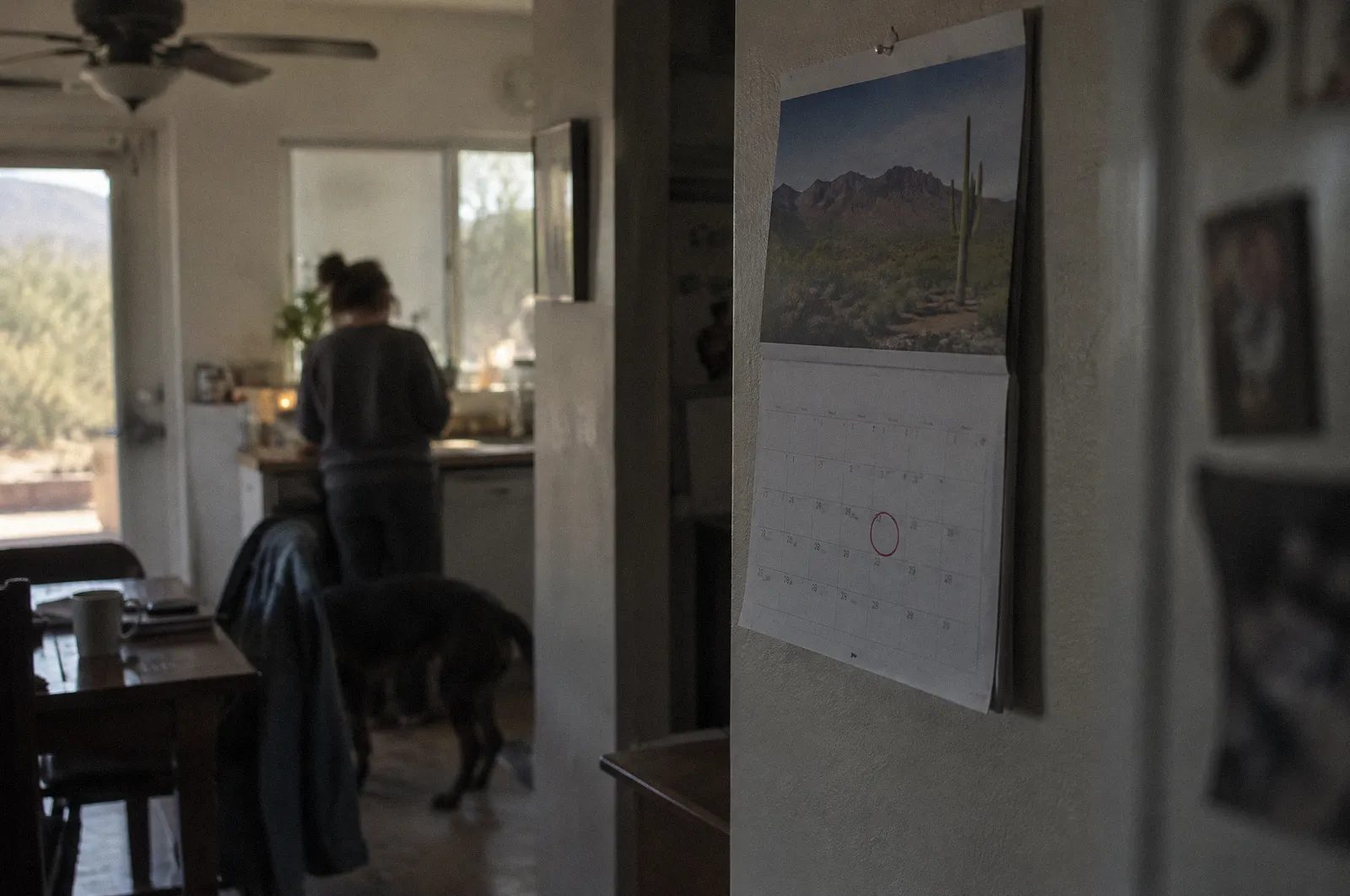 A wall calendar with a date circled in red pen, shallow focus, nothing readable