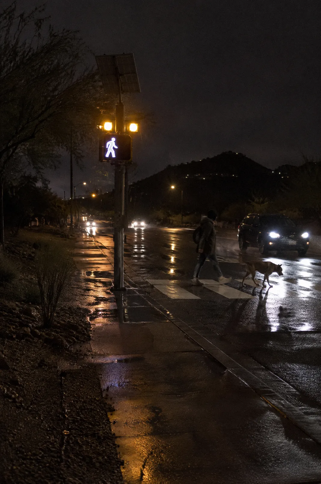 A mid-block crosswalk at night lit by a pedestrian beacon, wet pavement reflections after a storm