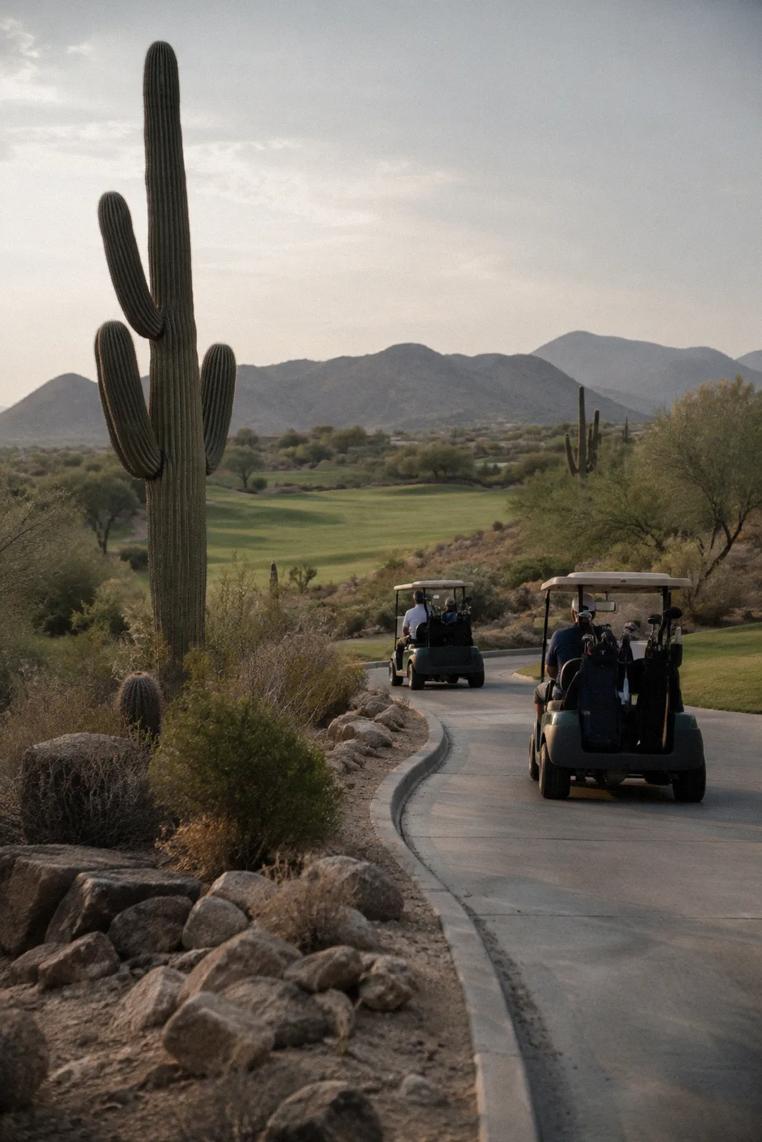 A curving concrete cart path on a desert golf course in north Scottsdale, saguaros and fairway grass