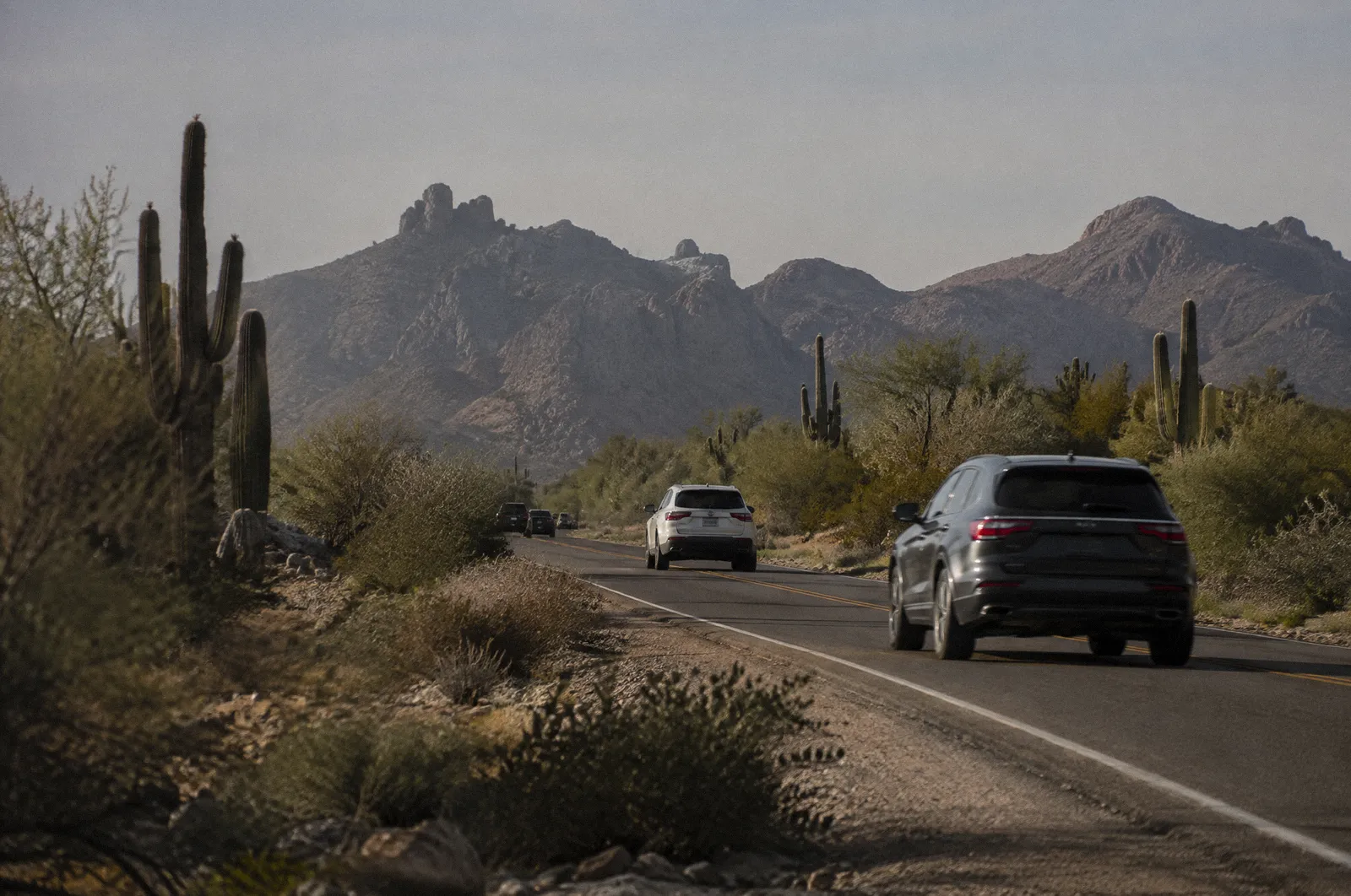 A two-lane road in north Scottsdale heading toward the McDowell Mountains, saguaros and creosote along the shoulder