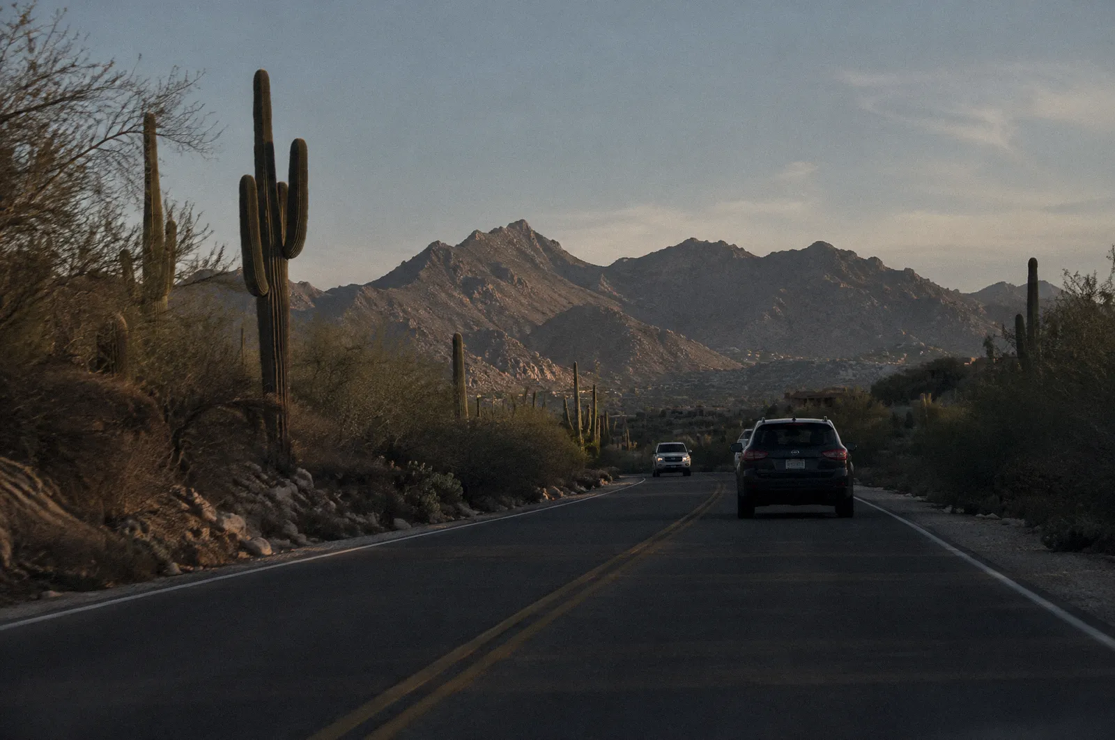 A two-lane road in north Scottsdale heading toward the McDowell Mountains, saguaros and creosote along the shoulder