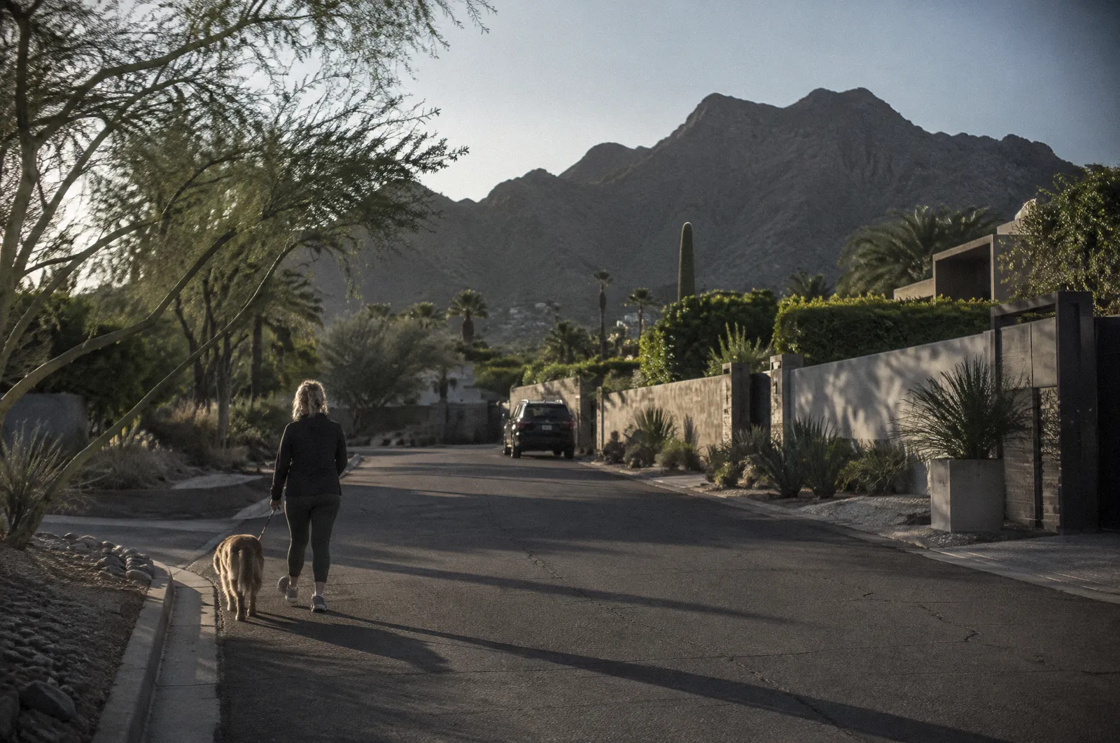 A quiet Paradise Valley residential street, low desert homes behind walls, Mummy Mountain behind