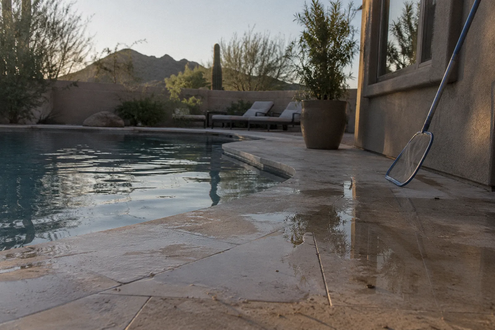 Wet travertine tiles at the edge of a backyard pool with a puddle and a pool skimmer net leaning on the wall