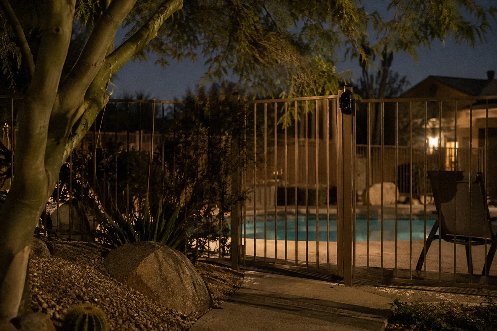 A self-closing pool gate with its latch set high on a desert backyard pool fence, still blue water behind, palo verde shade