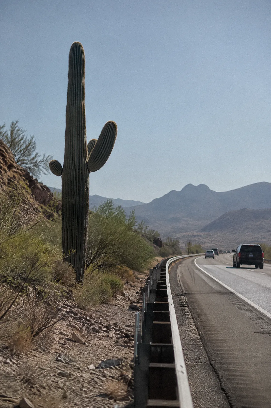 A single saguaro beside a desert highway shoulder with a guardrail, heat shimmer on the asphalt