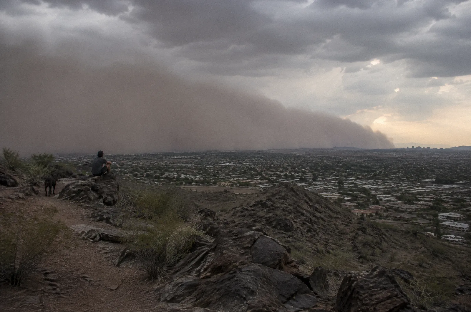 A monsoon storm rolling over the Phoenix valley seen from a hillside, dust wall on the horizon, city grid below