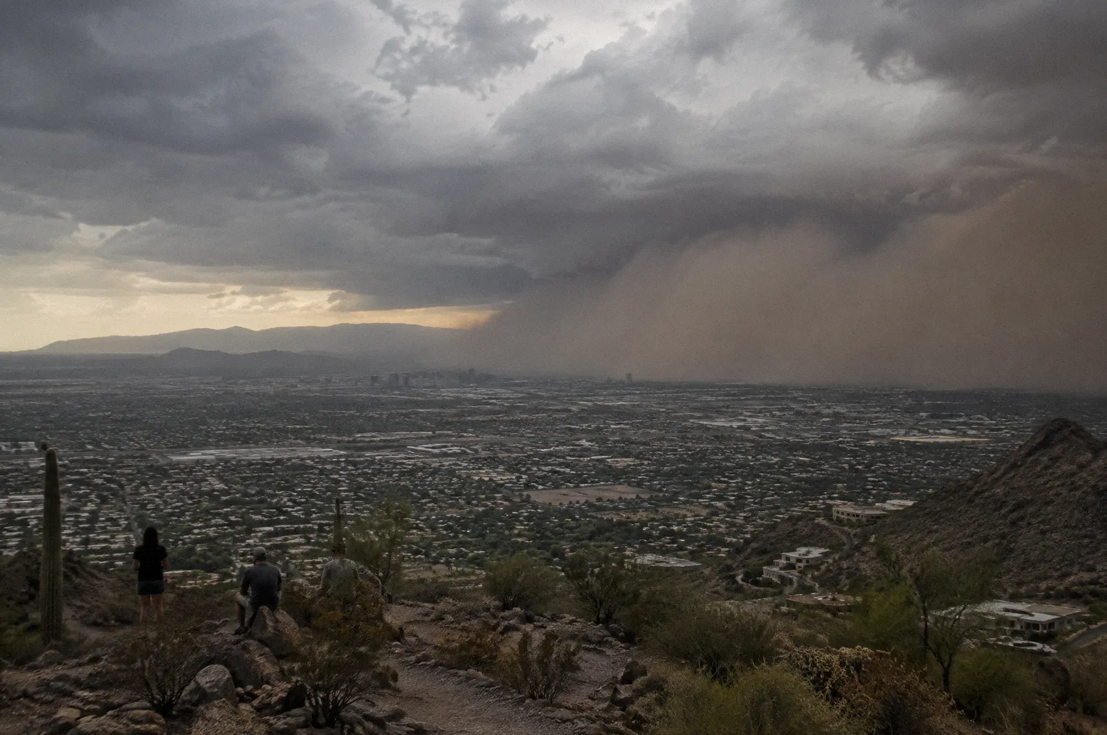 A monsoon storm rolling over the Phoenix valley seen from a hillside, dust wall on the horizon, city grid below